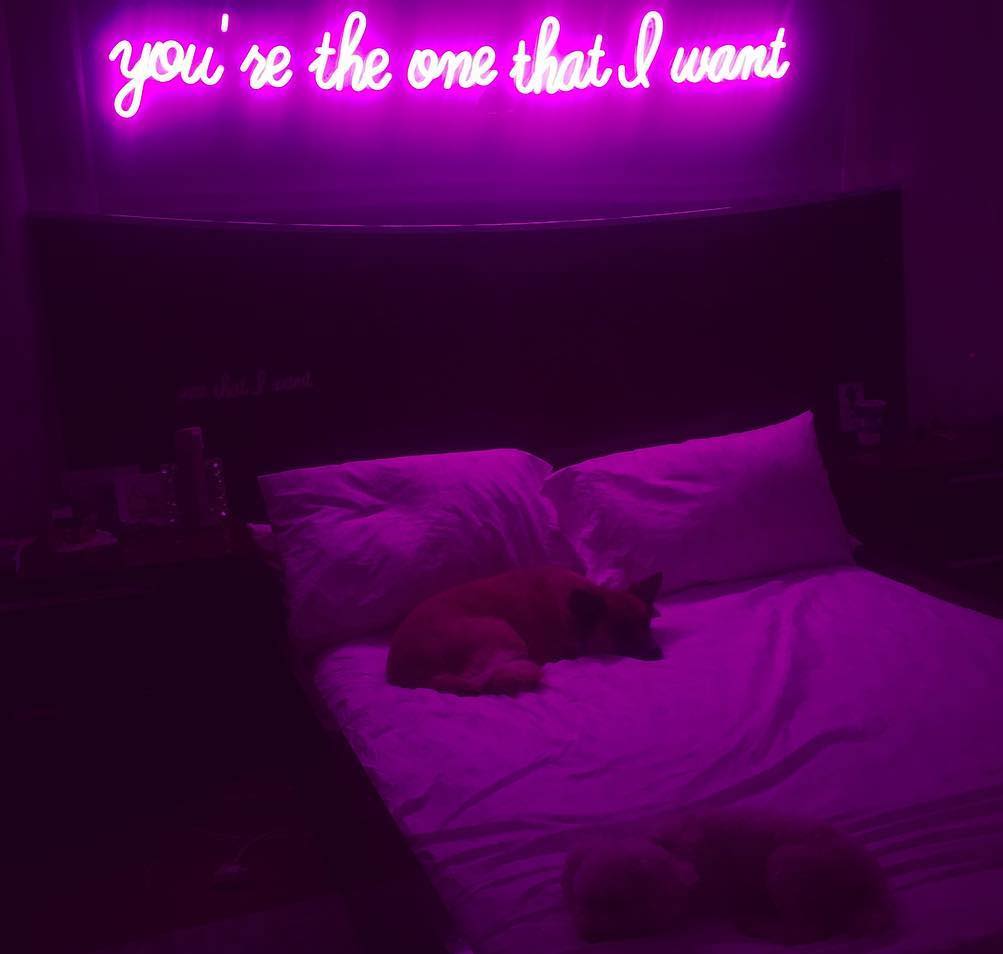 you're the one that I want neon sign