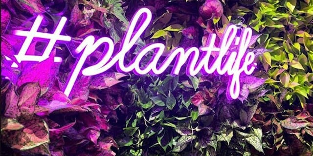 purple plant neon sign