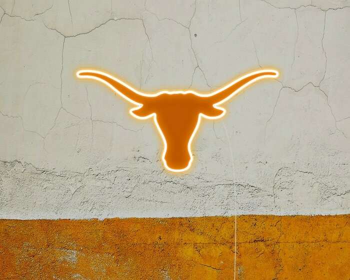 Texas Longhorns cool football team fan neon sign