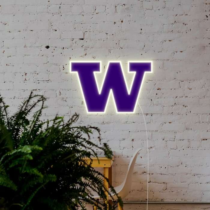 Washington Huskies cool football neon sign
